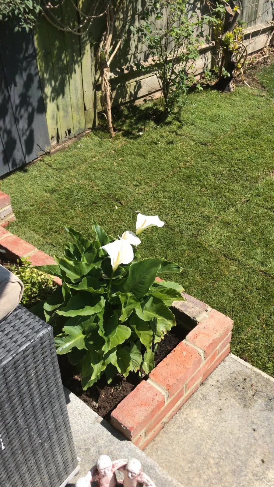 Garden Walls — image 3